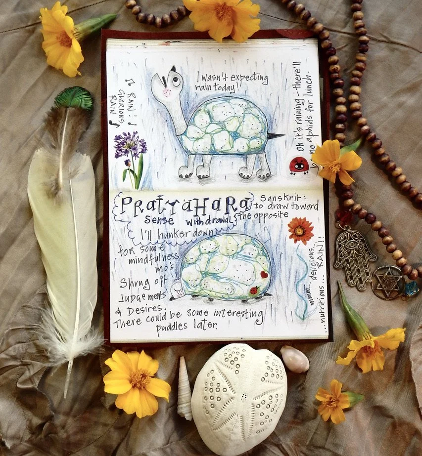 Gentle Yoga with Maree Tuesdays 6.30 pm