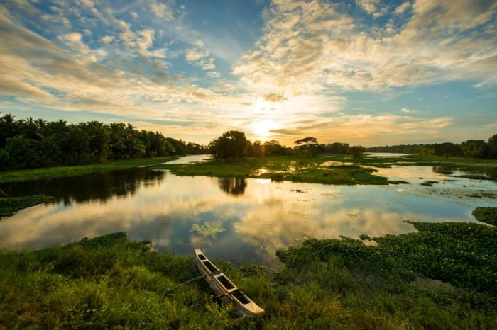 Rewilding our Heart ~ Sri Lanka Yoga Retreat 