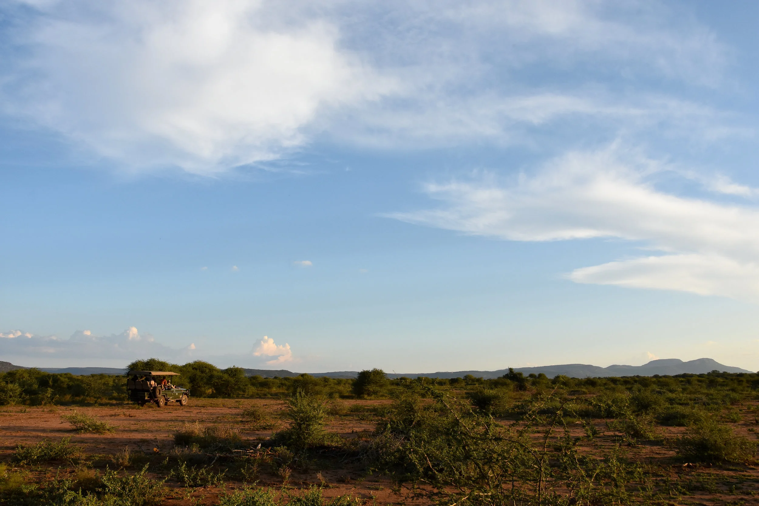 DSC_6387.jpg