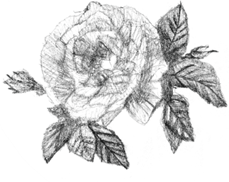 07-icon.png