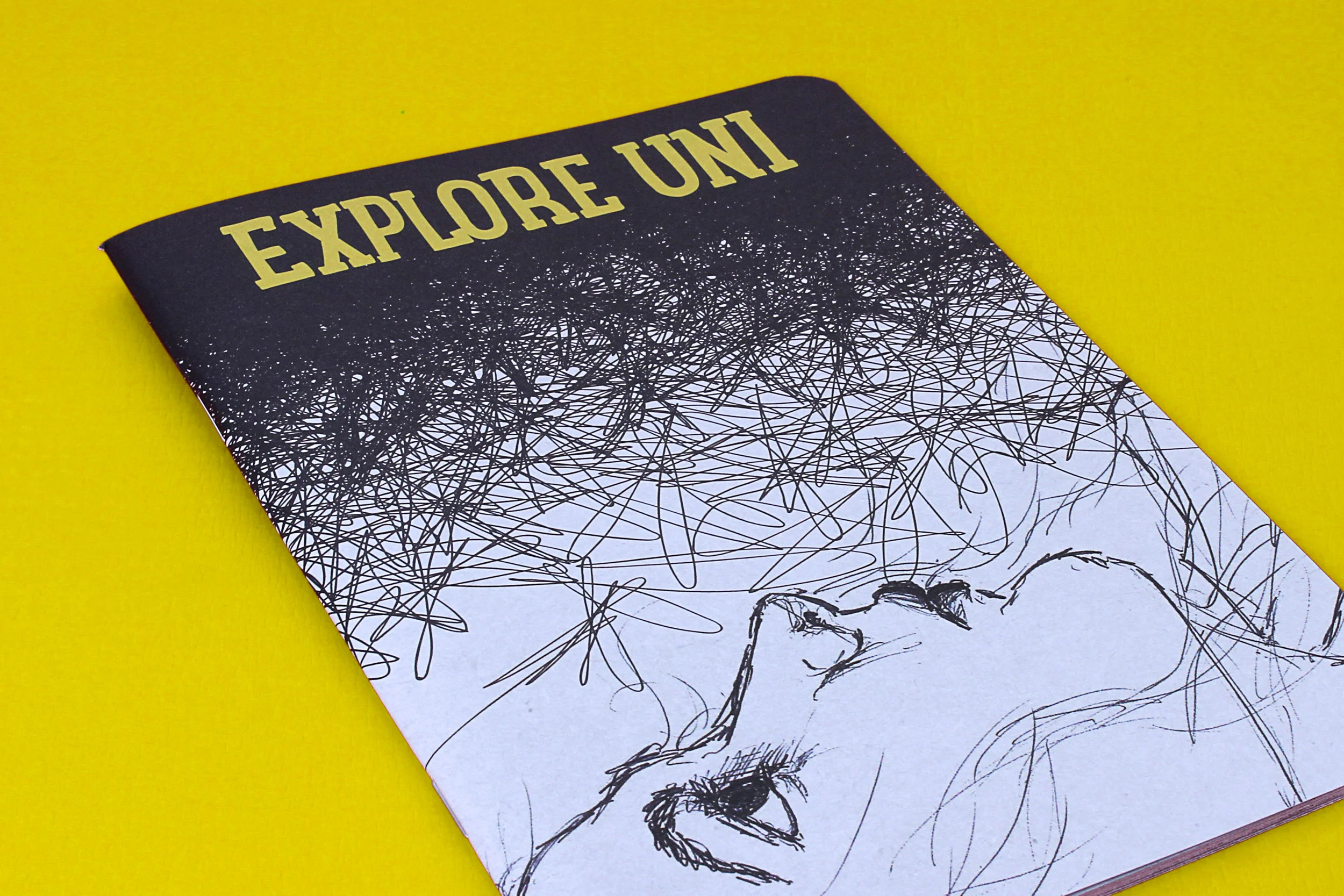  This booklet was created for primary and secondary school students incorporating their own scribbles.  