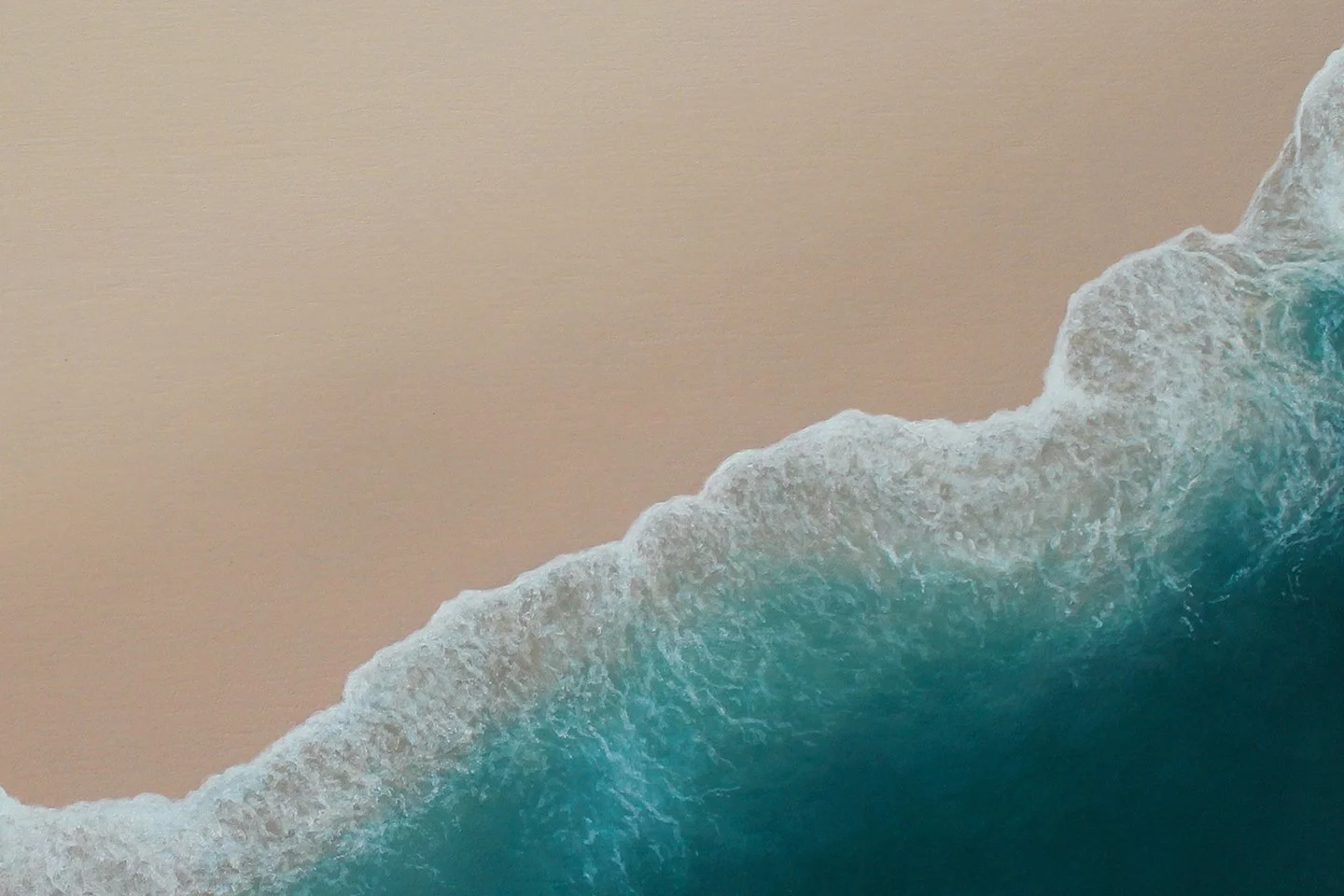 Let the light in.jpg