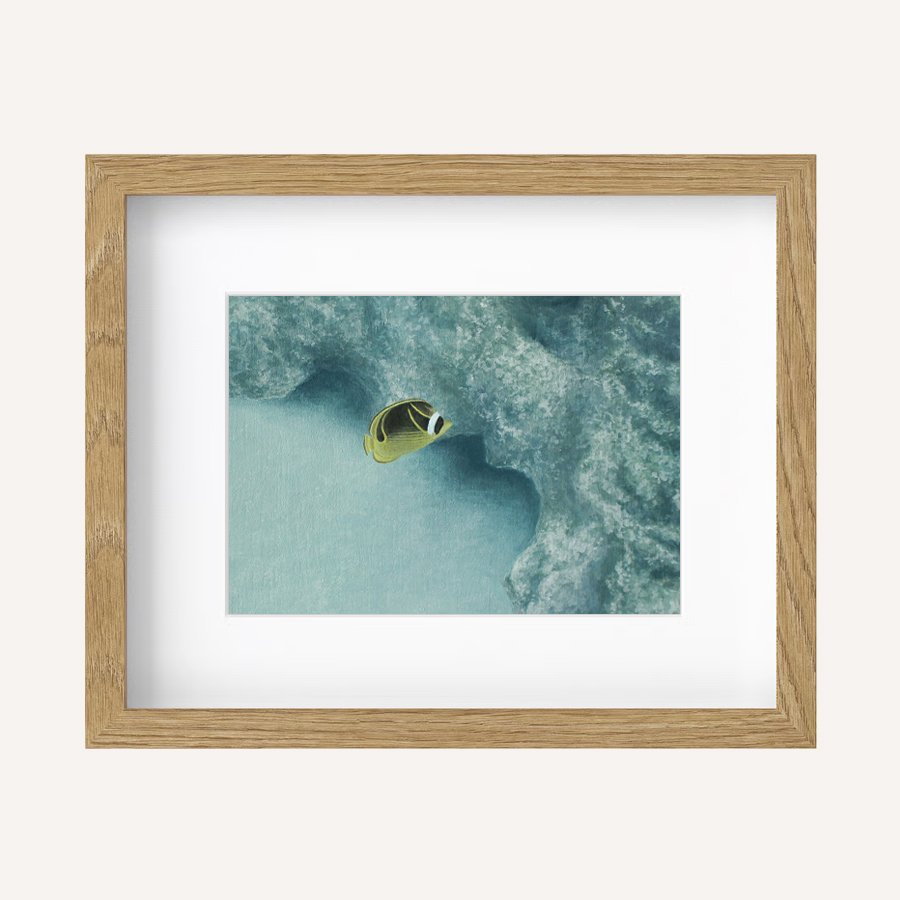 Soft currents 8x10.jpg