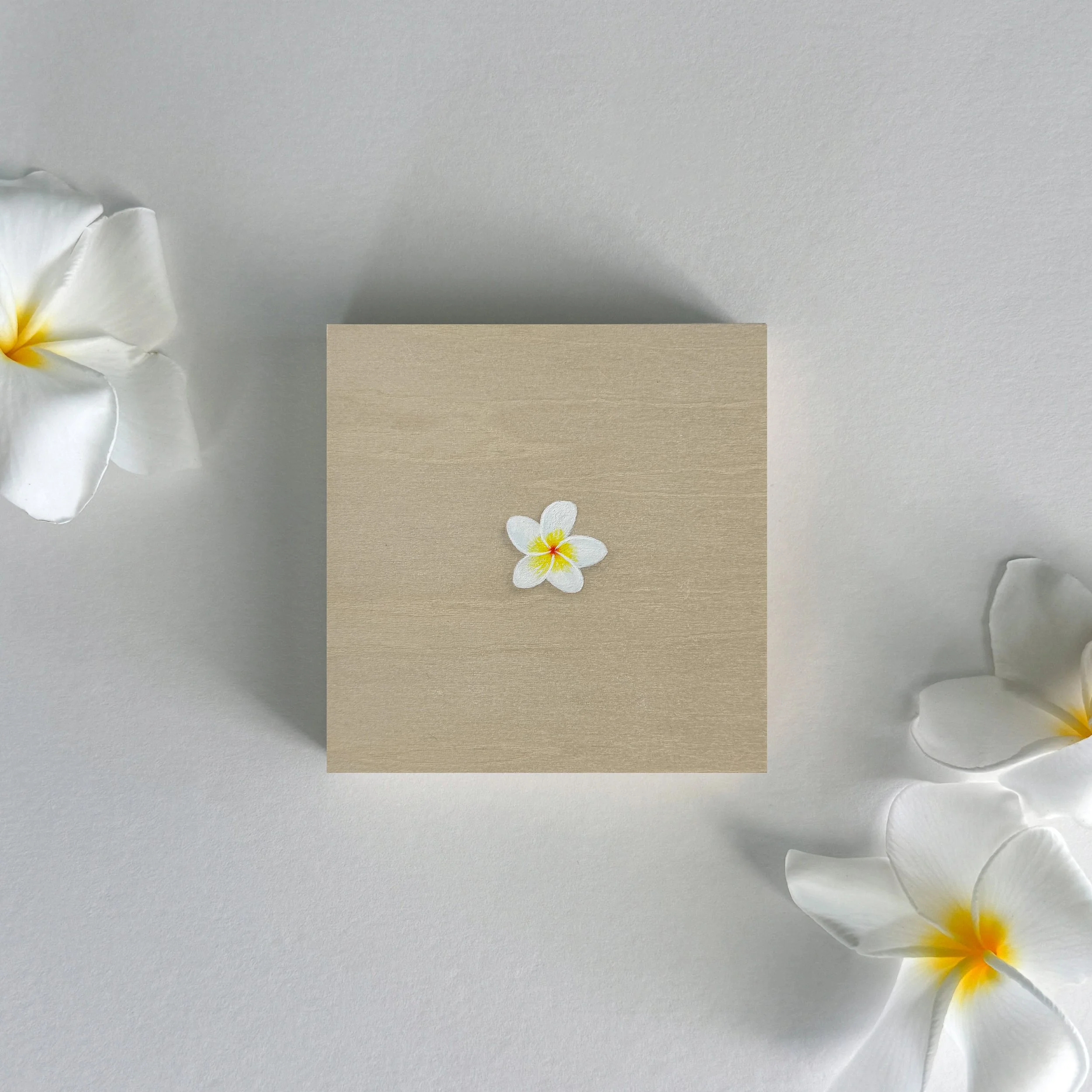Plumeria