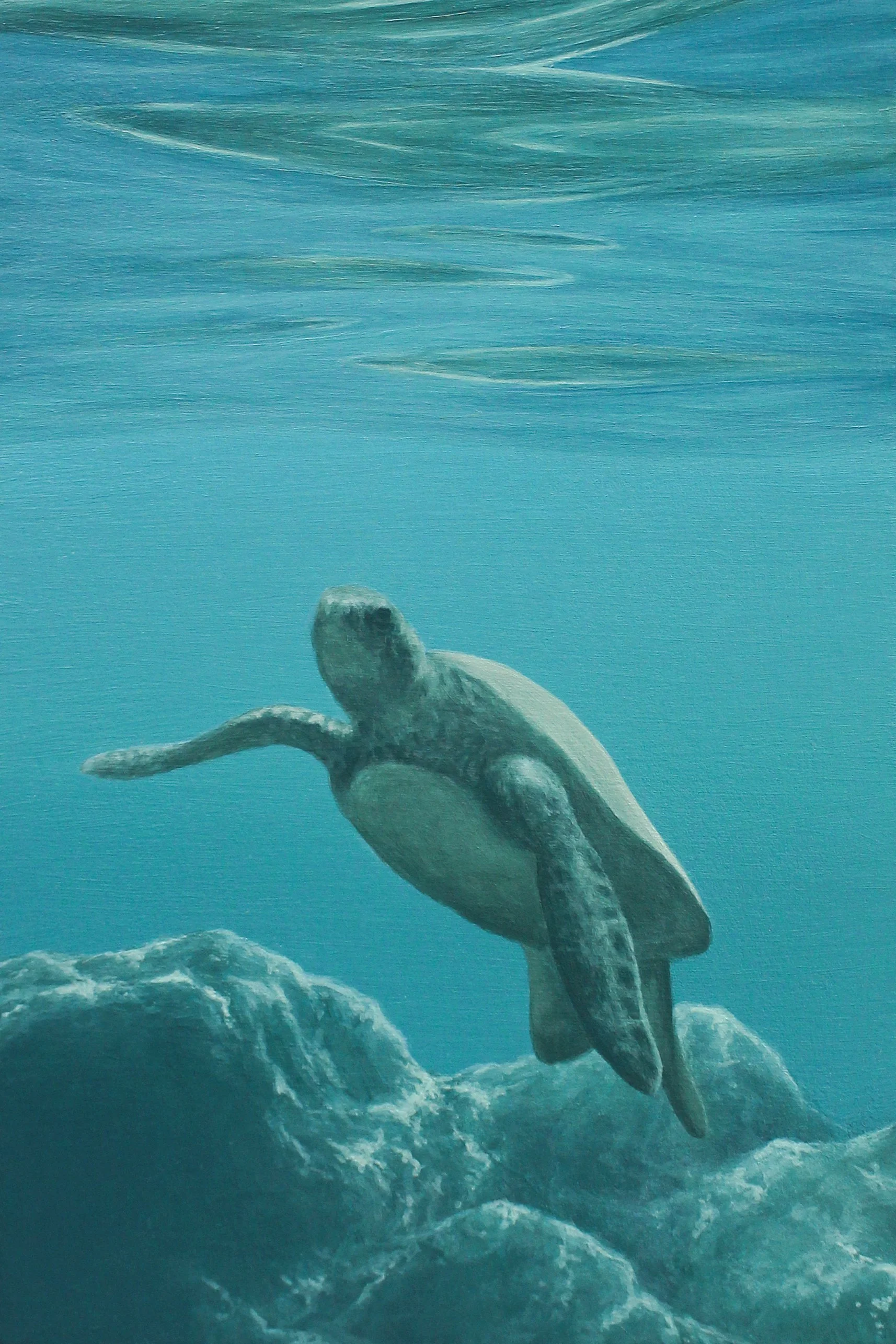 Warsani_Low Tide_unframed.jpg