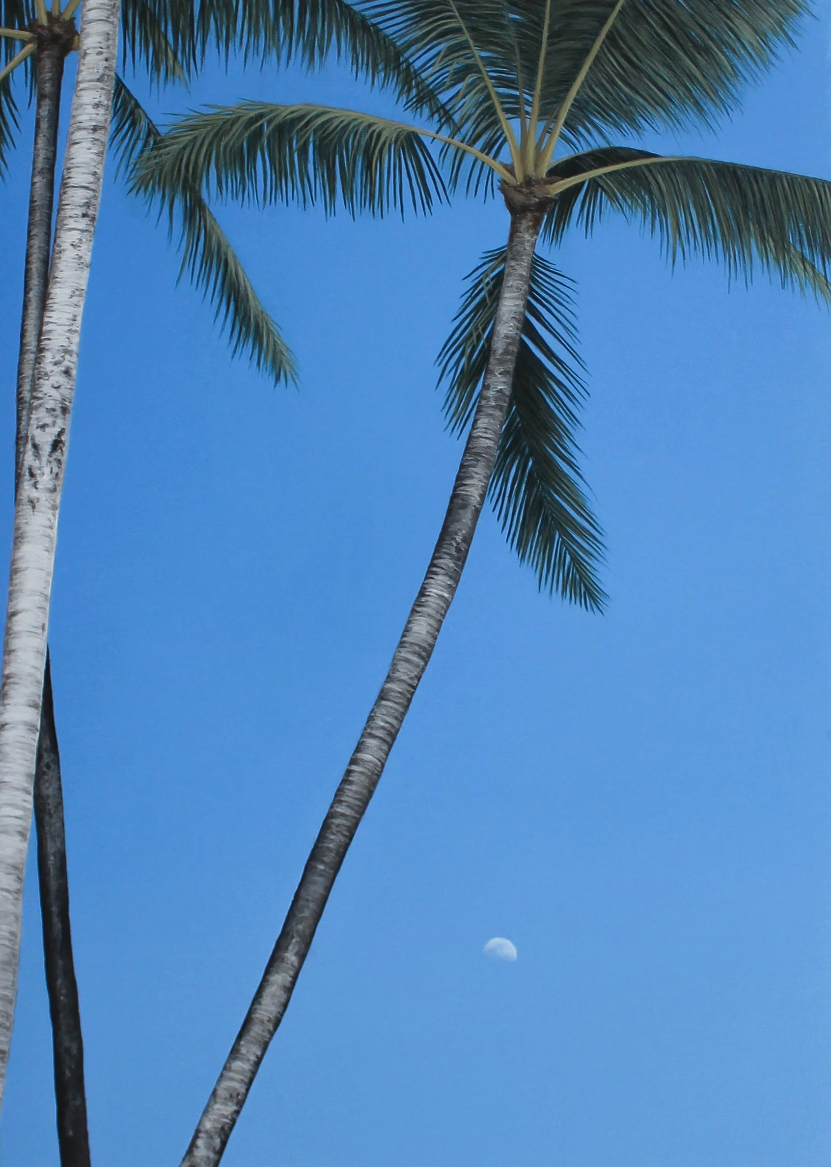 We were heaven and the moon_Full.jpg