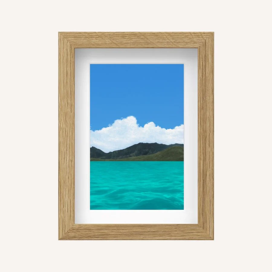 Wildest moments 5x7.jpg