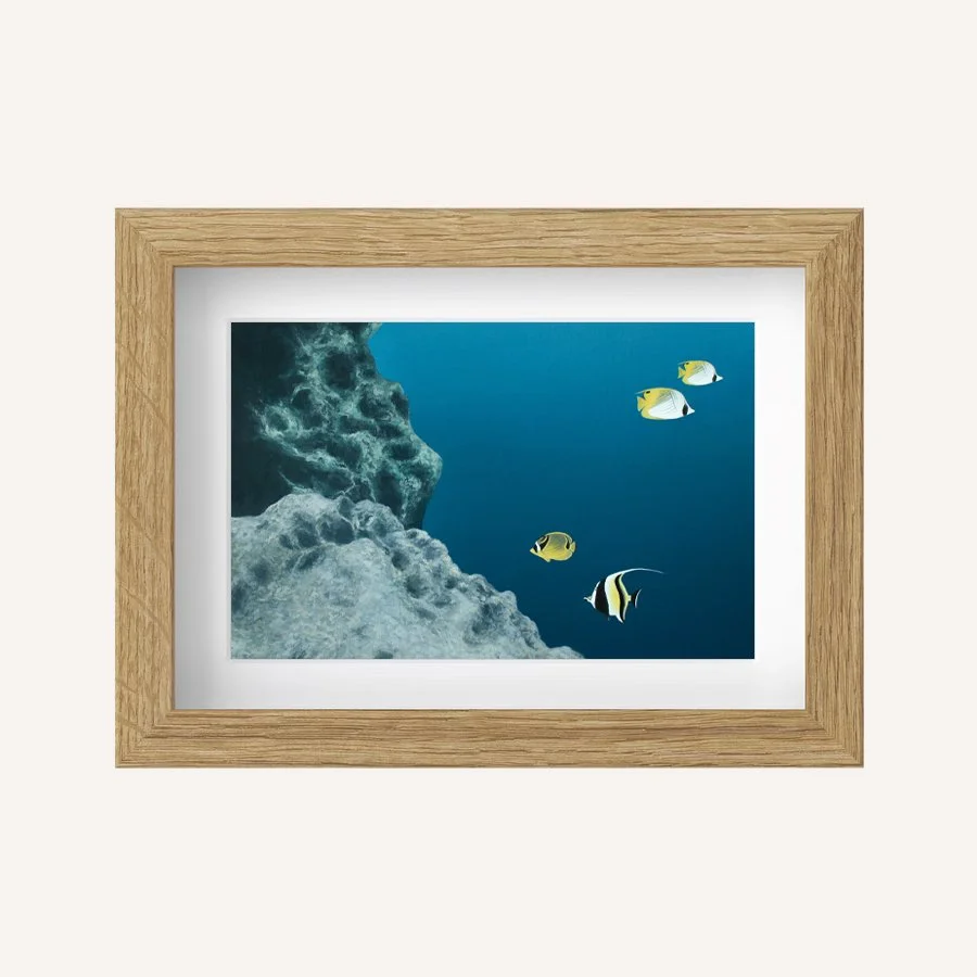 Midnight rain 5x7.jpg