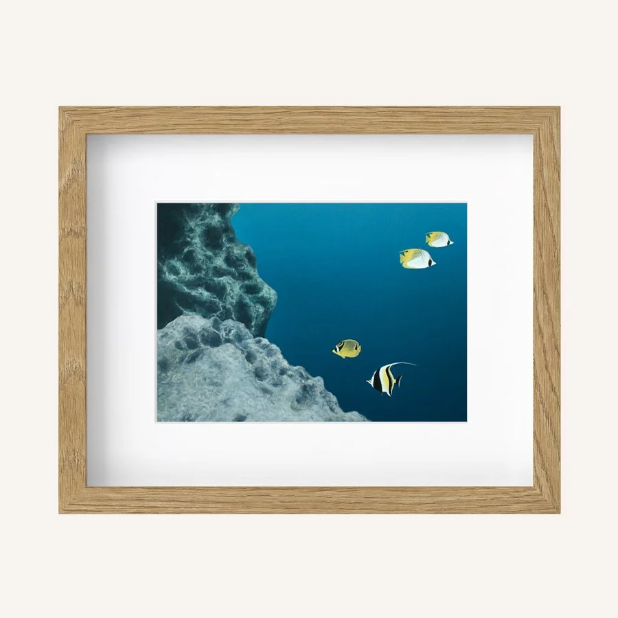 Midnight rain 8x10.jpg