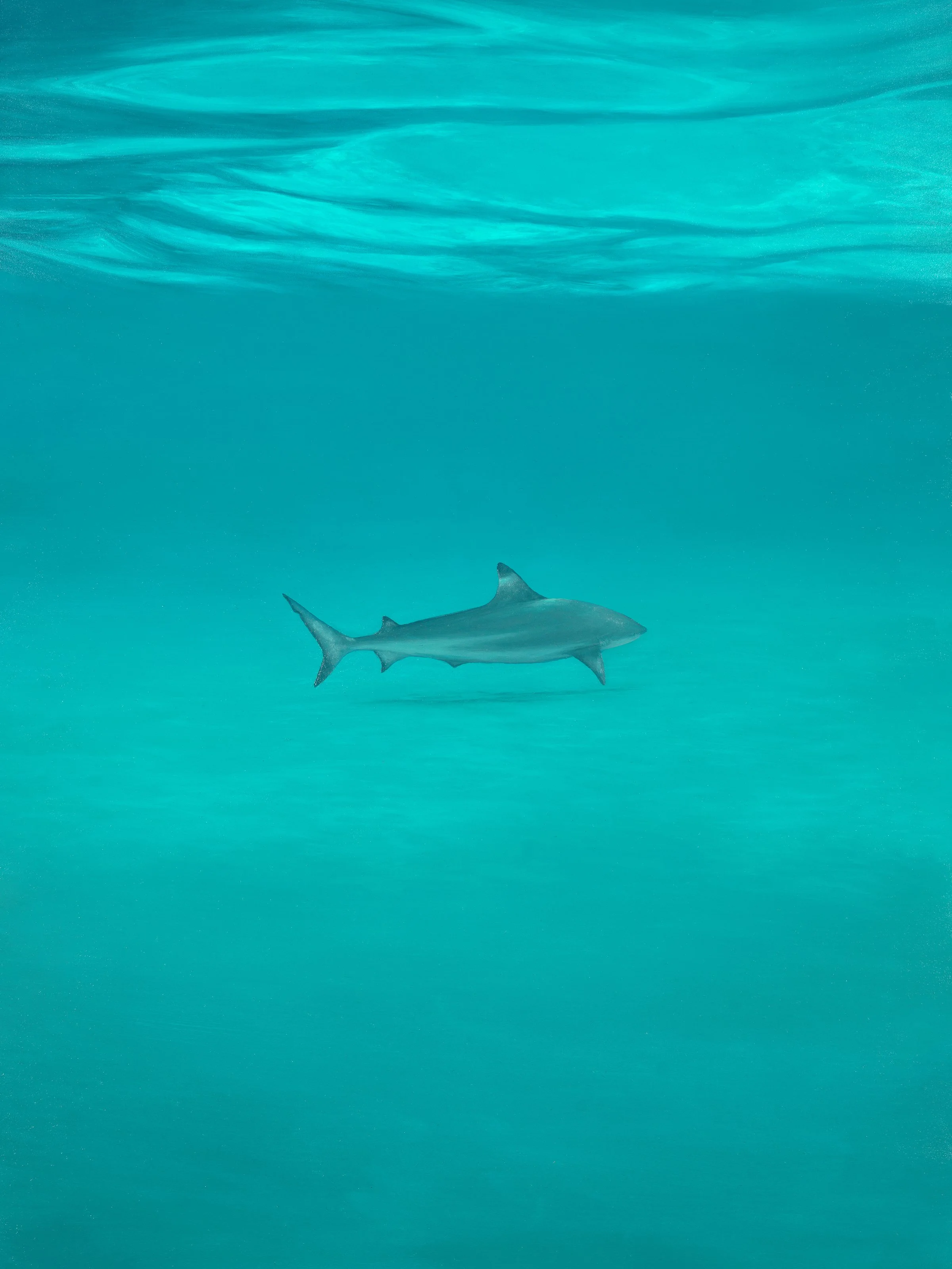 Weight of desire.jpg