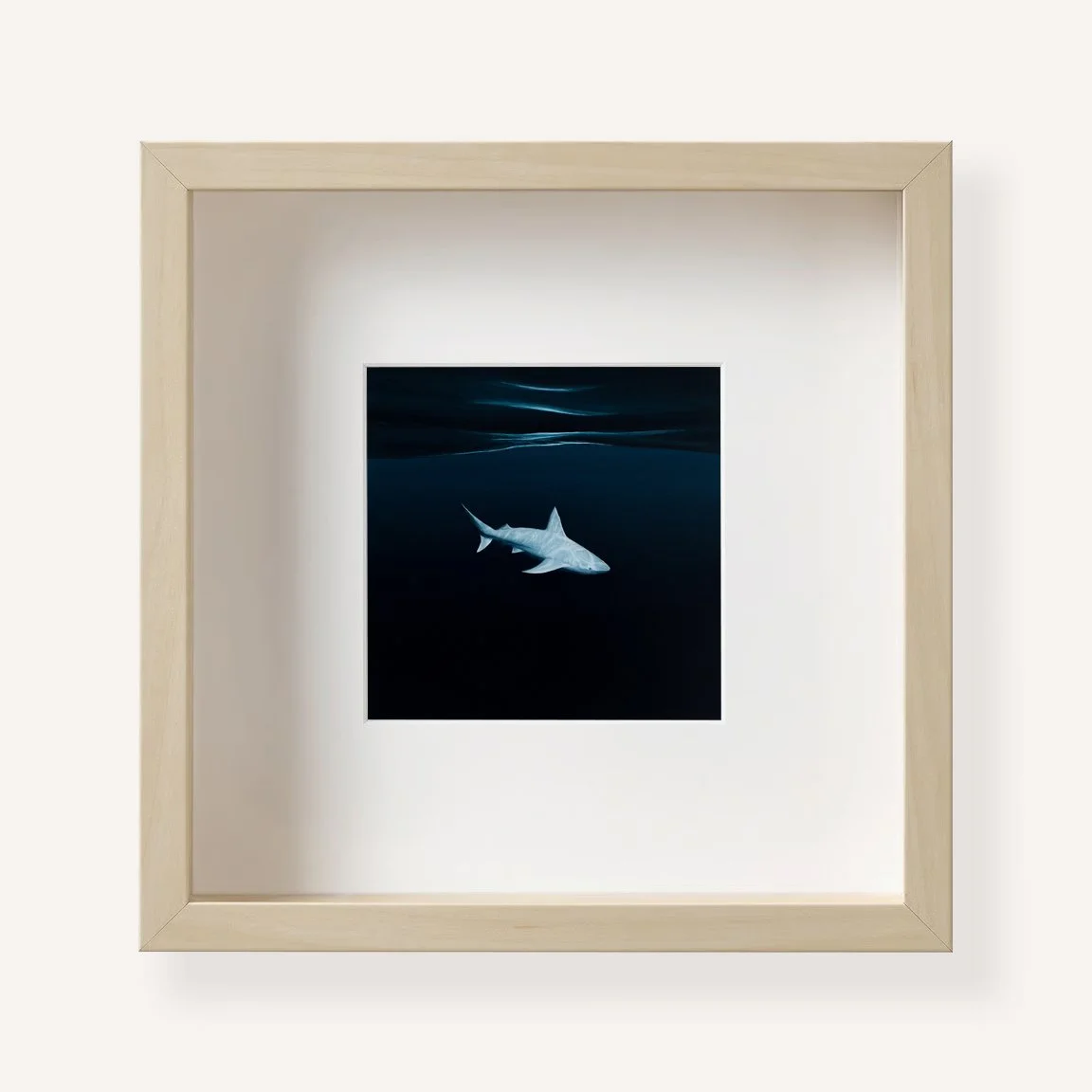 Archetype 10x10 Birch.jpg