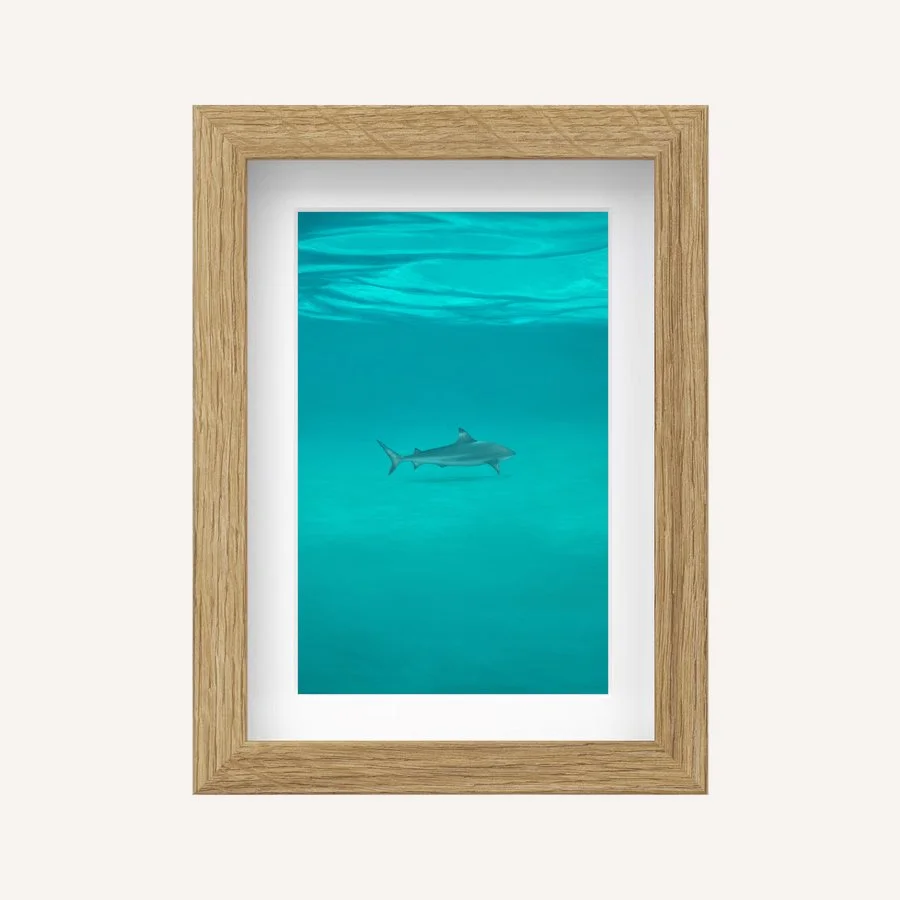 Weight of desire 5x7 Oak.jpg