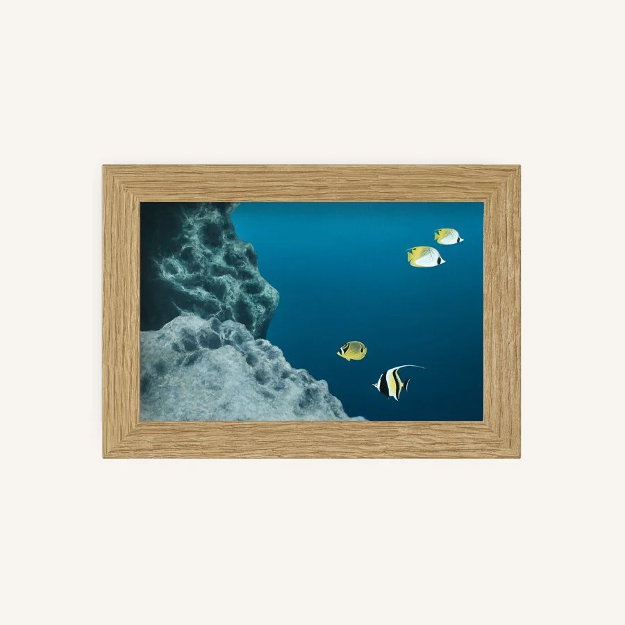 Midnight rain 4x6.jpg