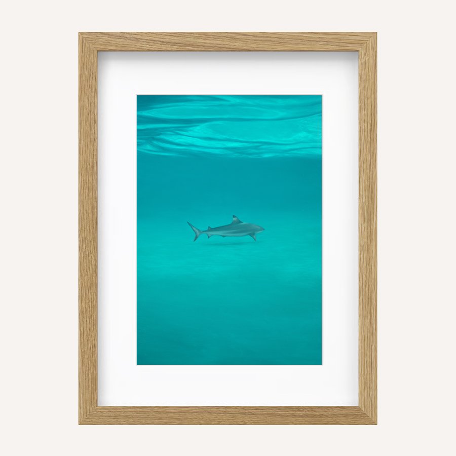 Weight of desire12x16 Oak.jpg