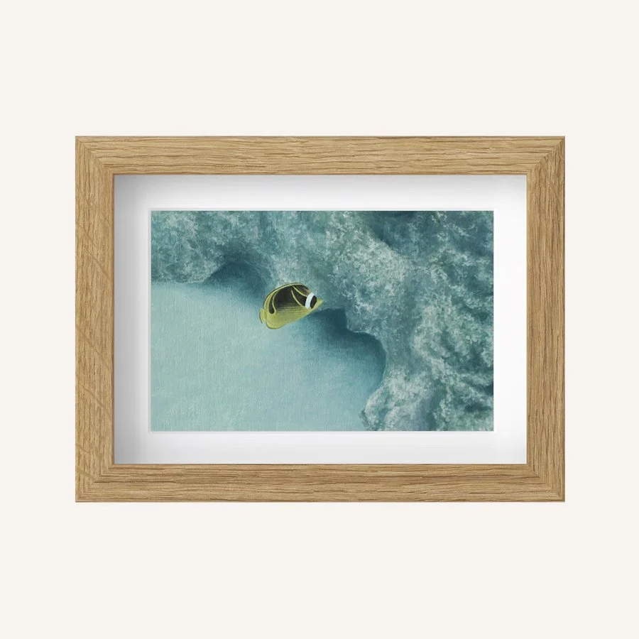 Soft currents 5x7.jpg