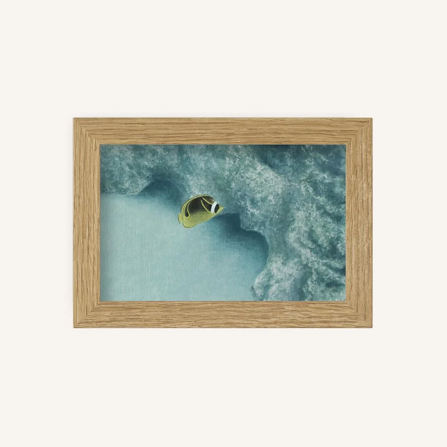 Soft currents 4x6.jpg