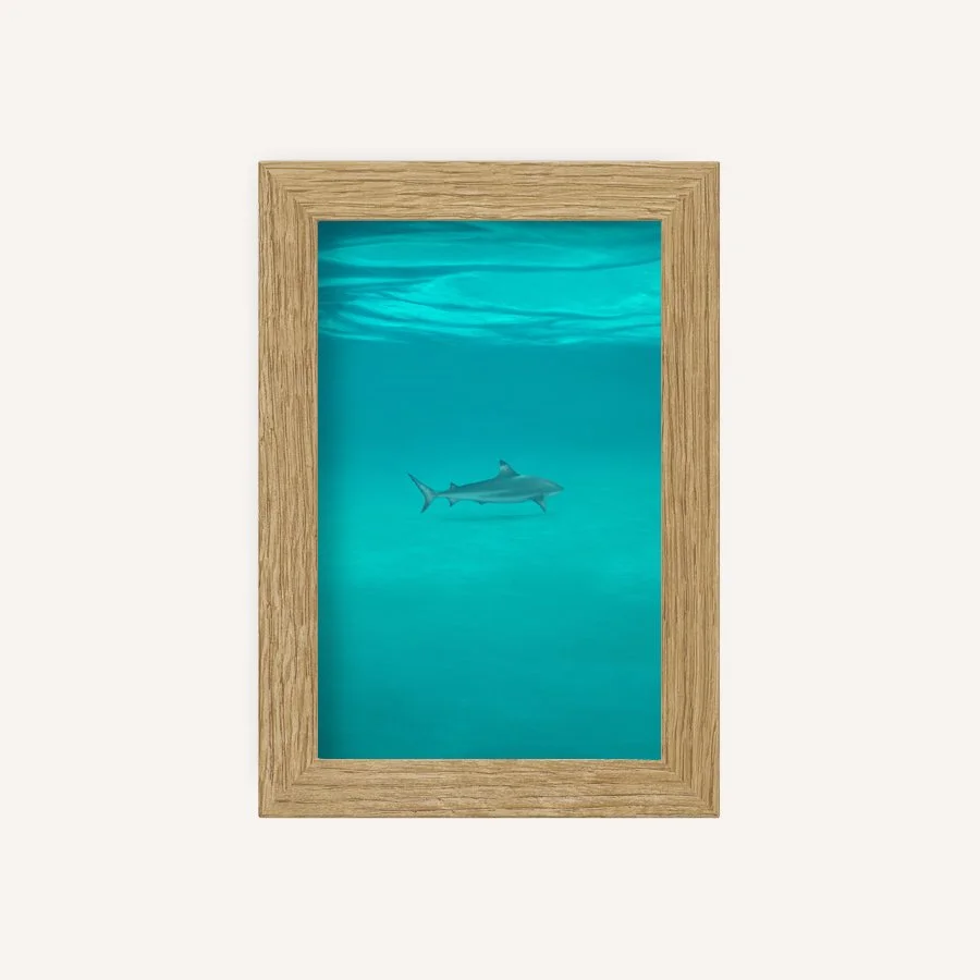 Weight of desire 4x6 Oak.jpg