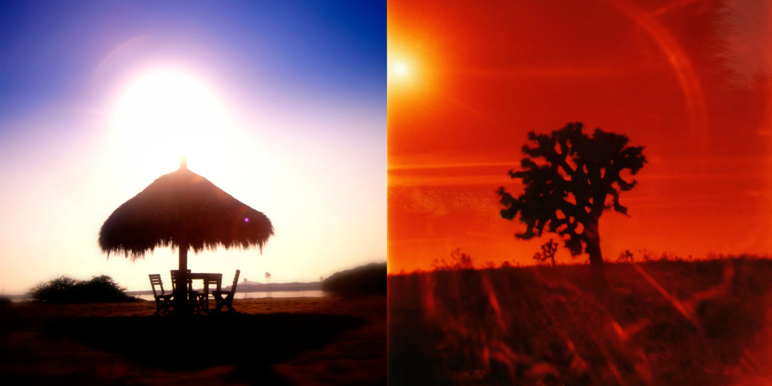 051_sandalsjtree.jpg