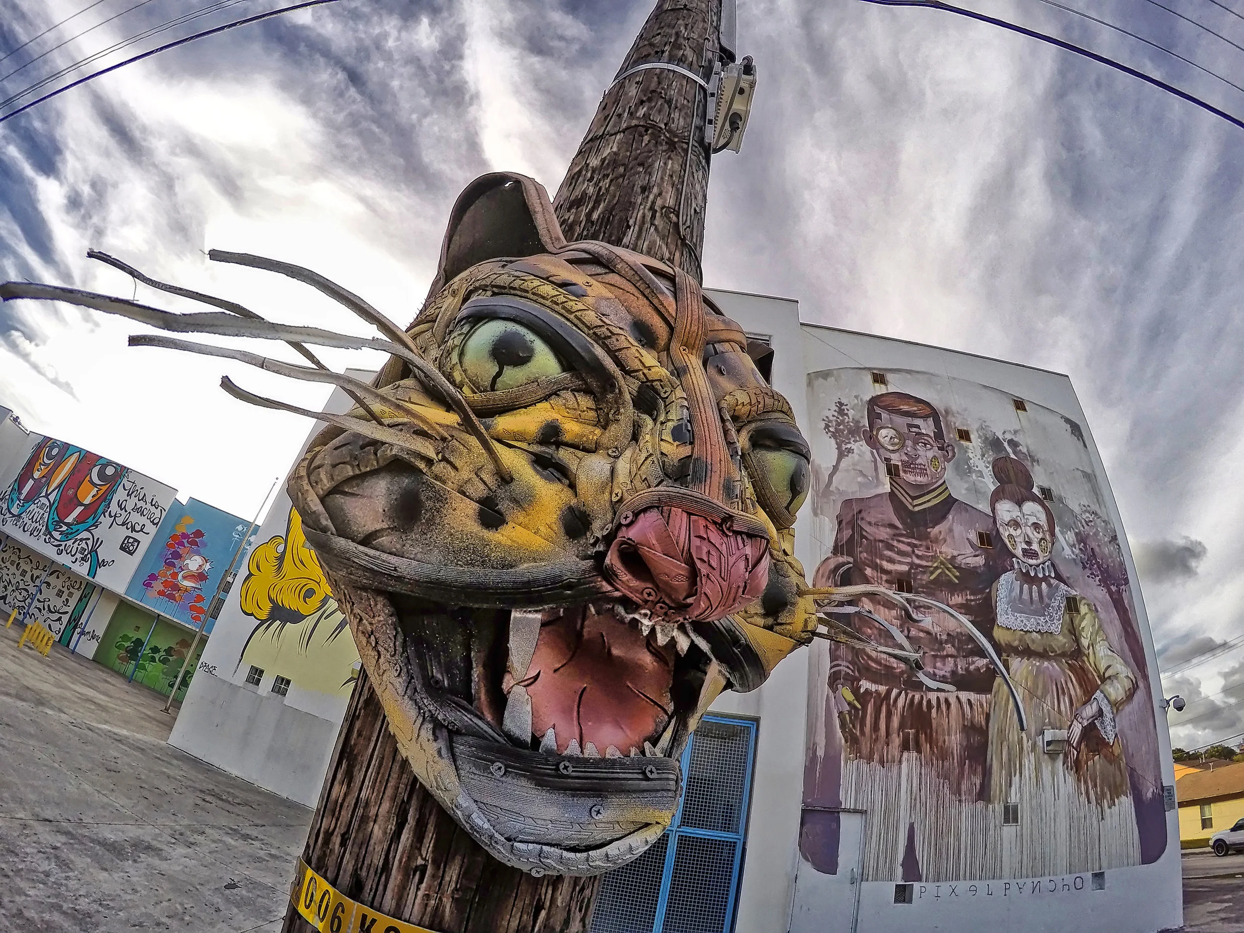 Jaguar by Robert Litterati