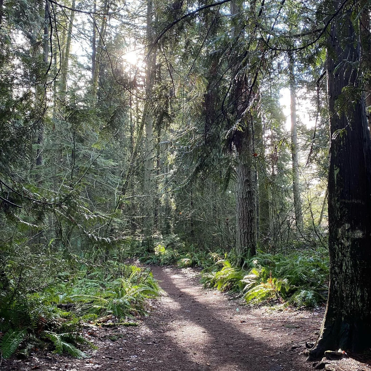 One will spread our ashes round the yard