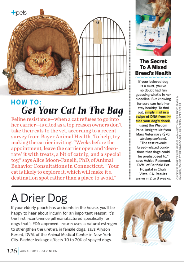 Screen Shot 2017-06-18 at 11.15.22 PM.png