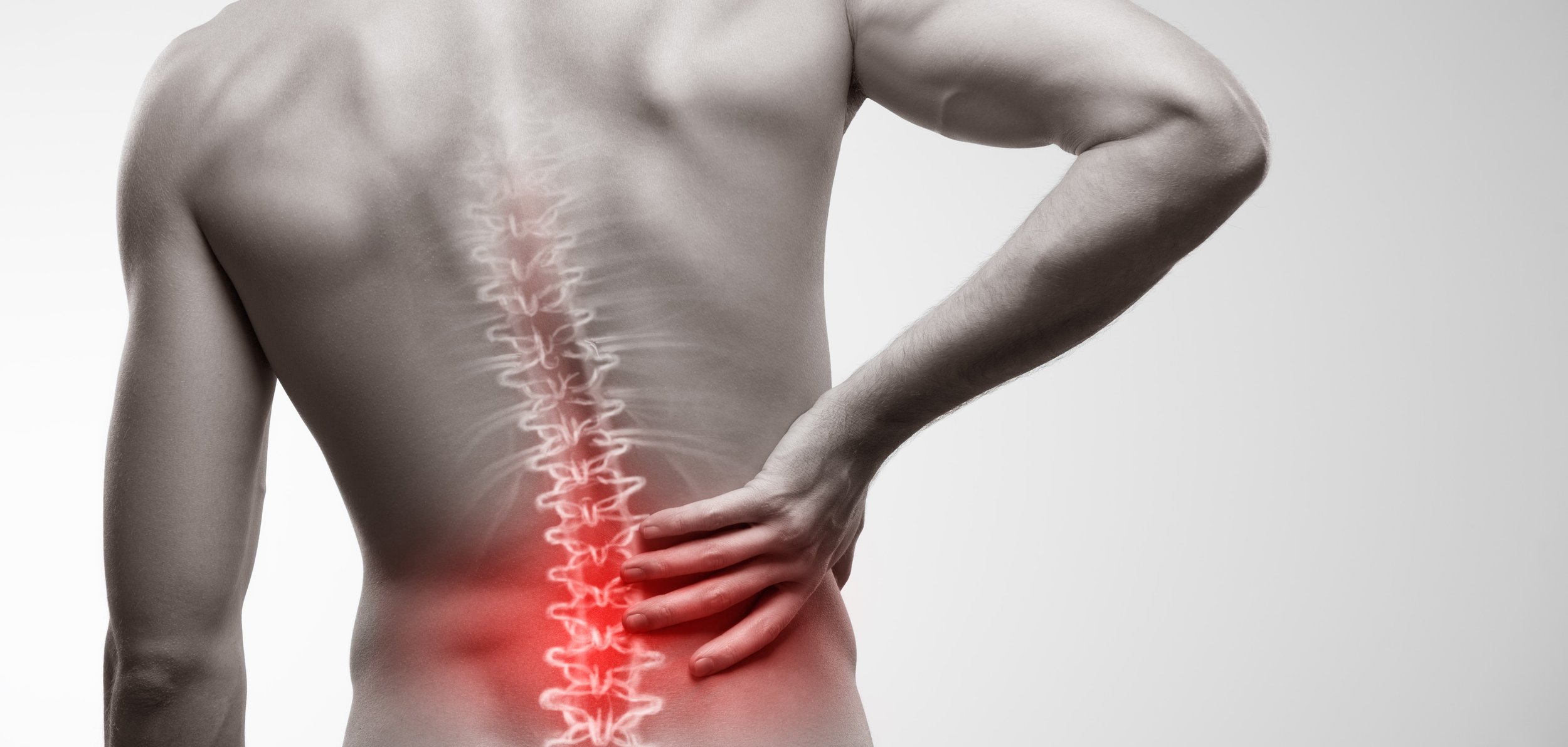 Spine — OrthoACT
