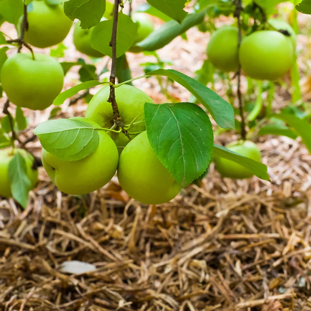 How My Practise Has Changed - Part 3