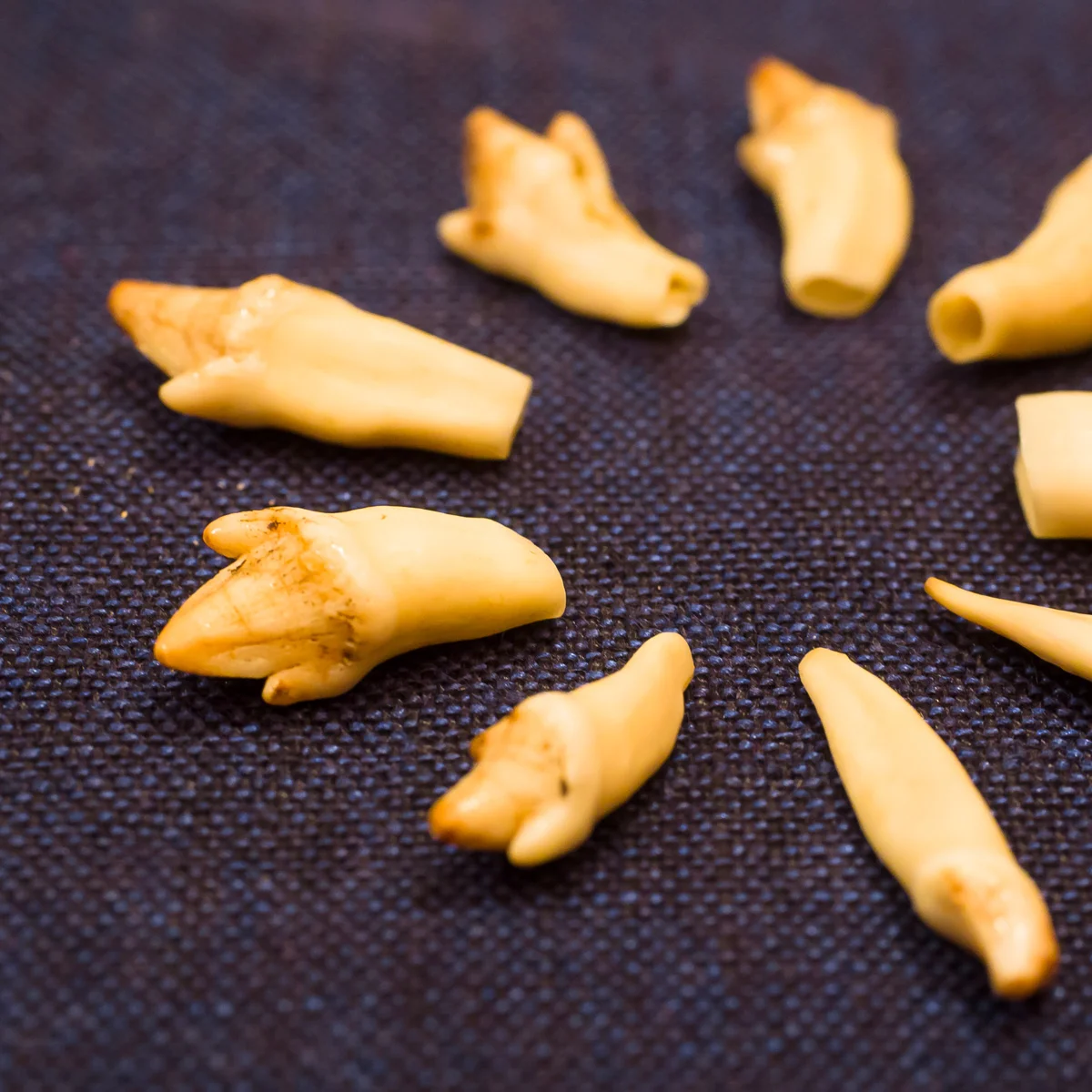 Naturopathy for Healthy Gums