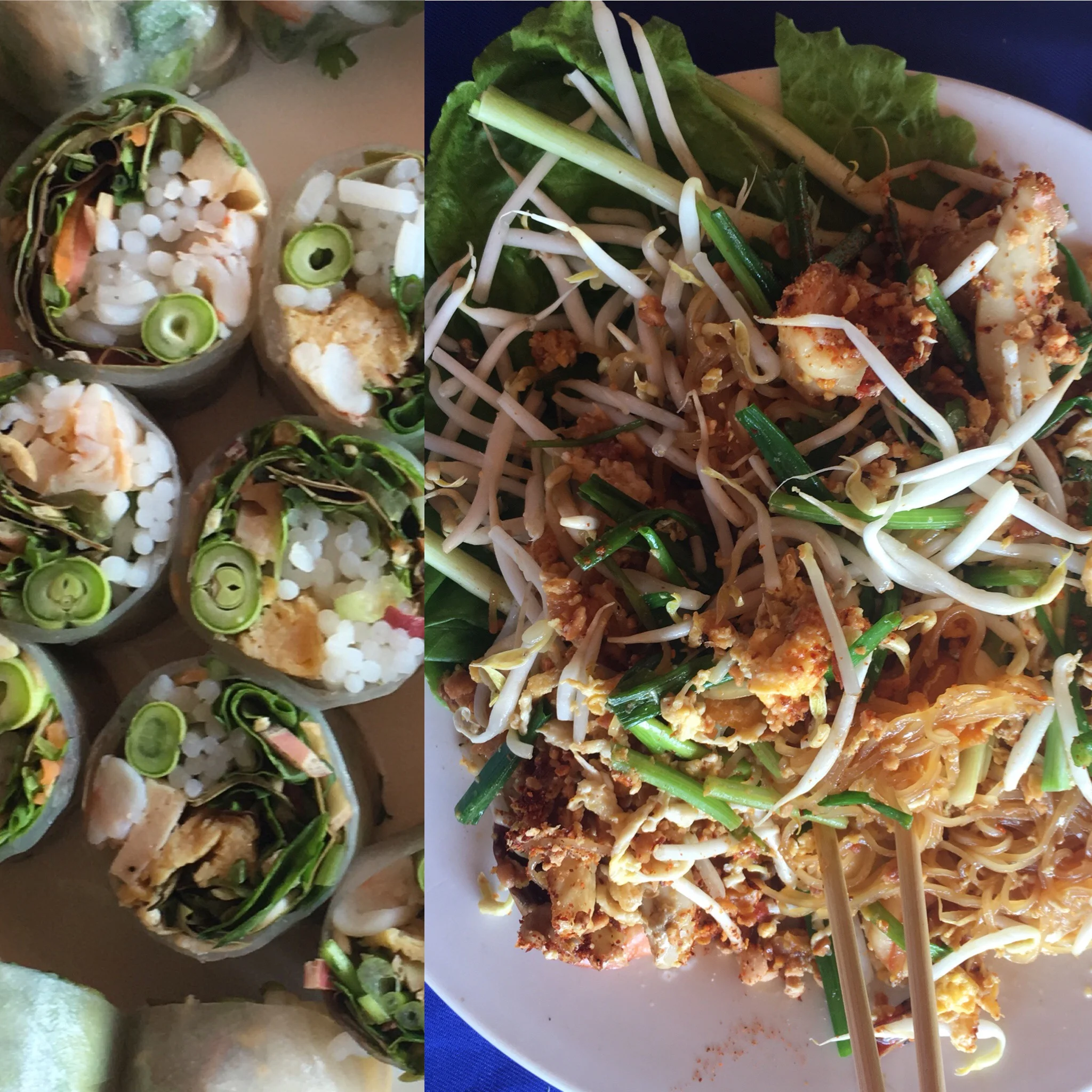 Delicious lunch of Fresh spring rolls and pad Thai