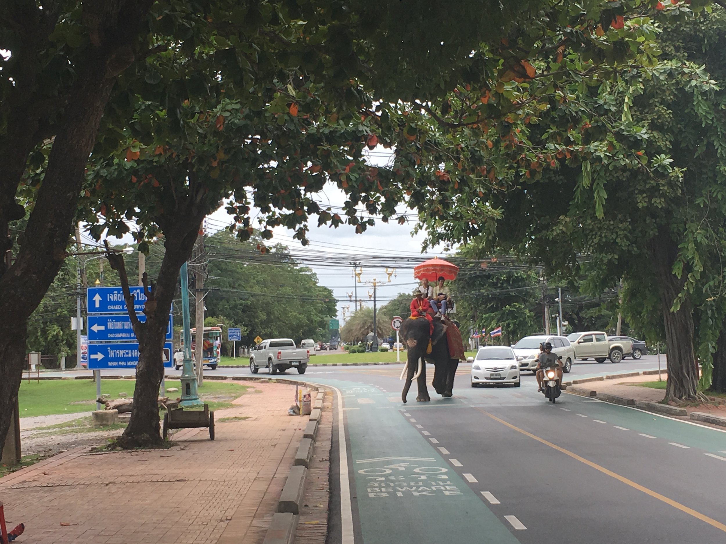 The only place I saw elephants being ridden in Thailand.