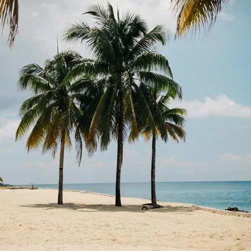 sea-mexico-project-kaif.jpg
