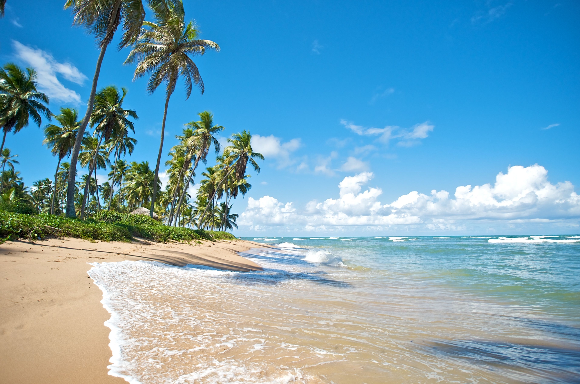 Sure, there are some beaches in Brazil...but they’re WAY too crowded.jpg