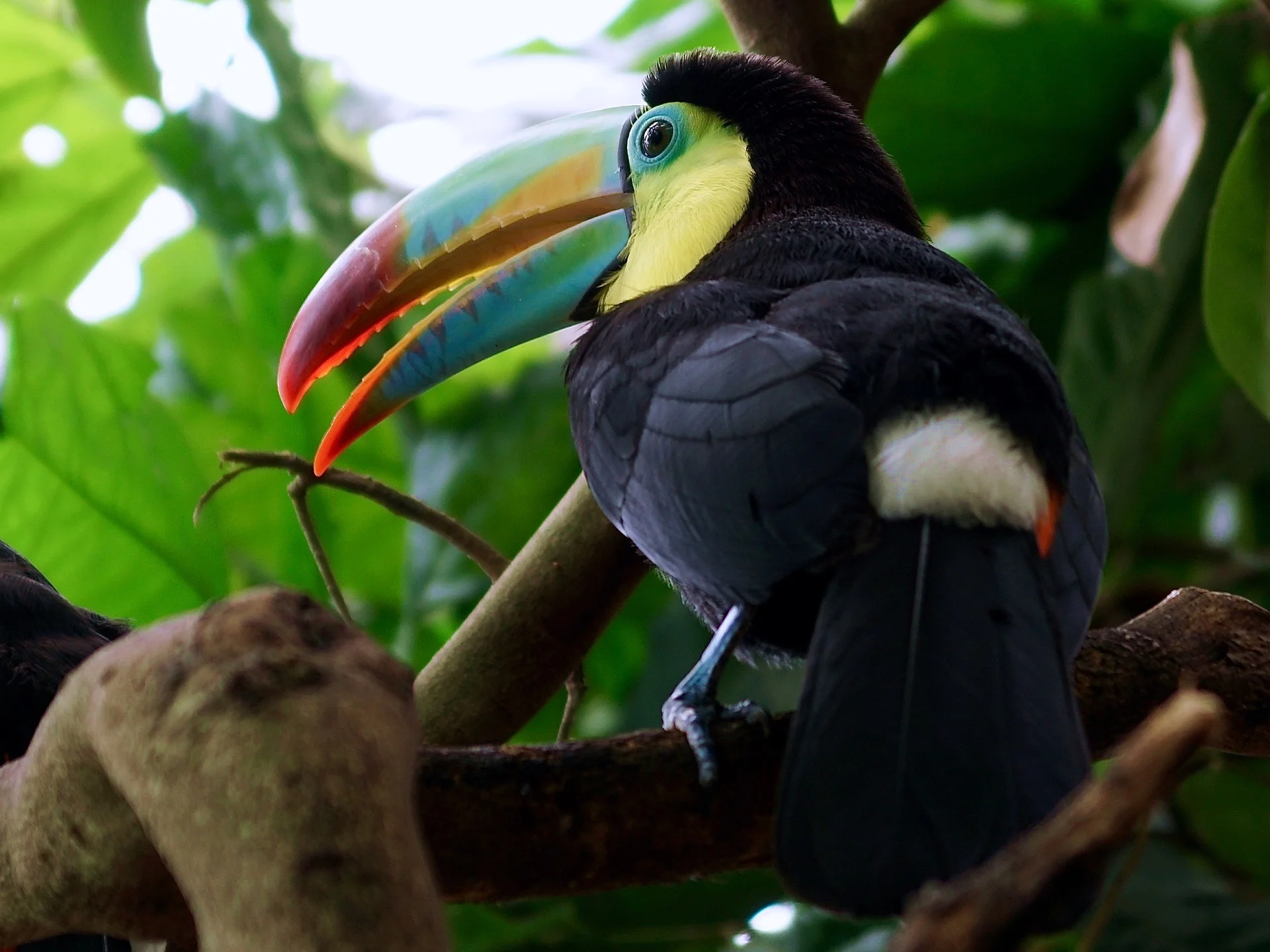 The wildlife there is probably just okay, at best.jpg