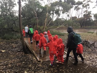 Bush Kinder - 28May 3.jpeg
