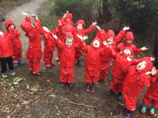 Bush Kinder - 28May 8.jpeg