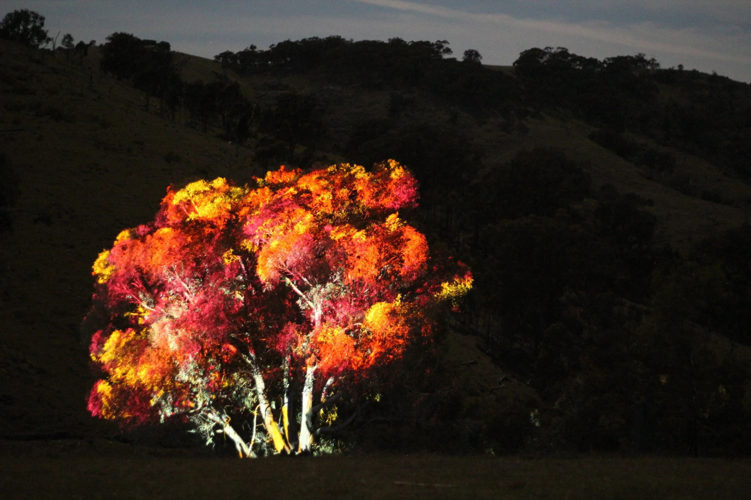 John Waldron,   Near Woodstock, NSW, 2017,  Light Drawing, Digital Image