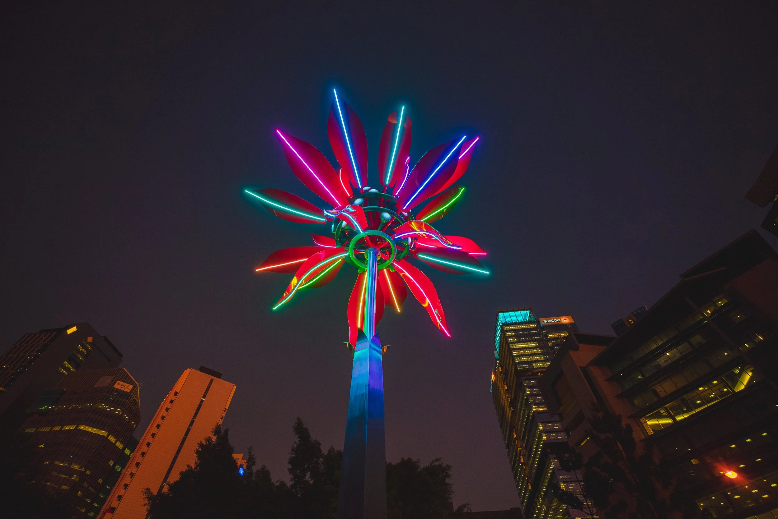 Refurbishment - Luke Roberts, 'poinsettia Riverfire' (2016), Brisbane City Collection