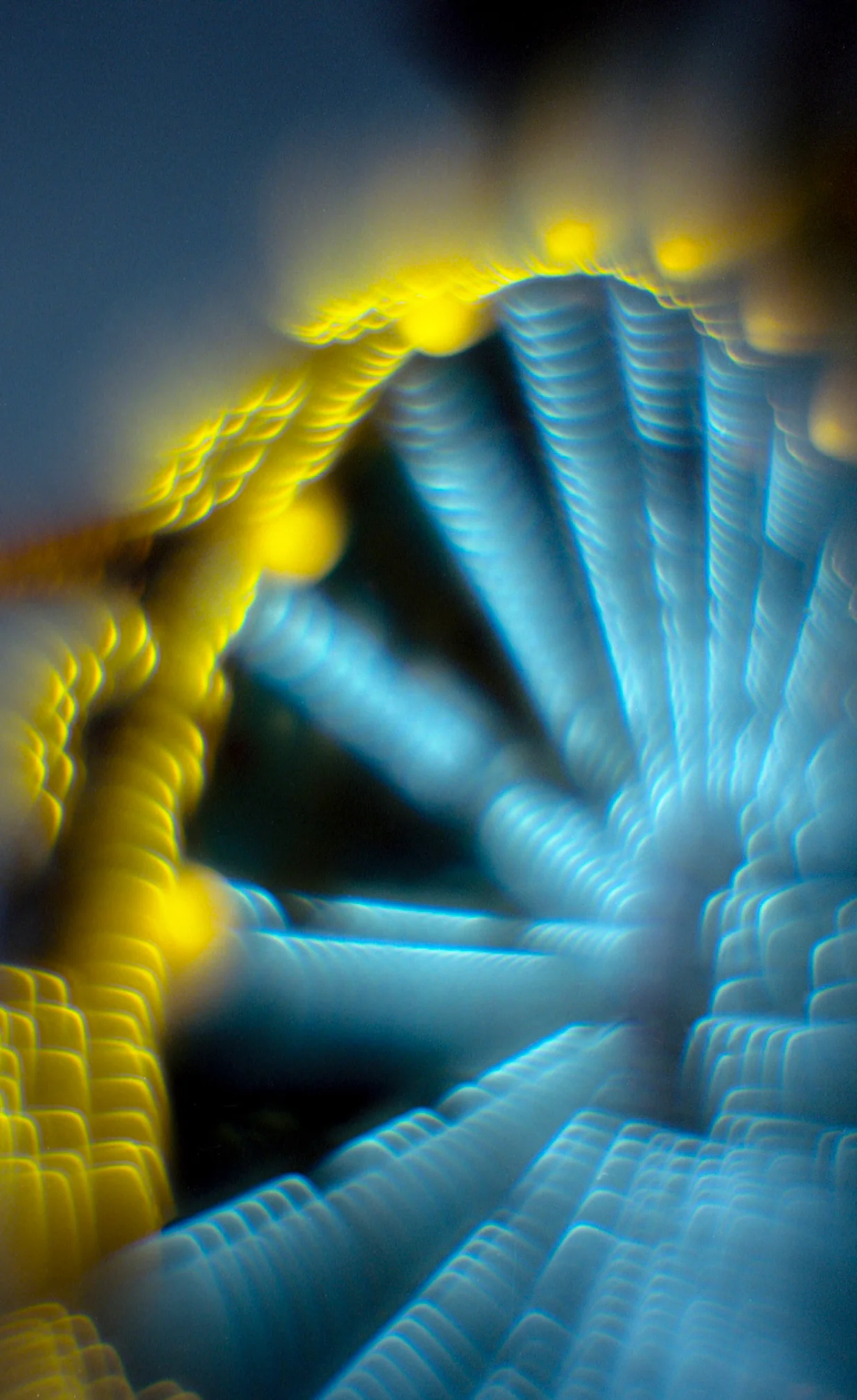 400843_web.jpg