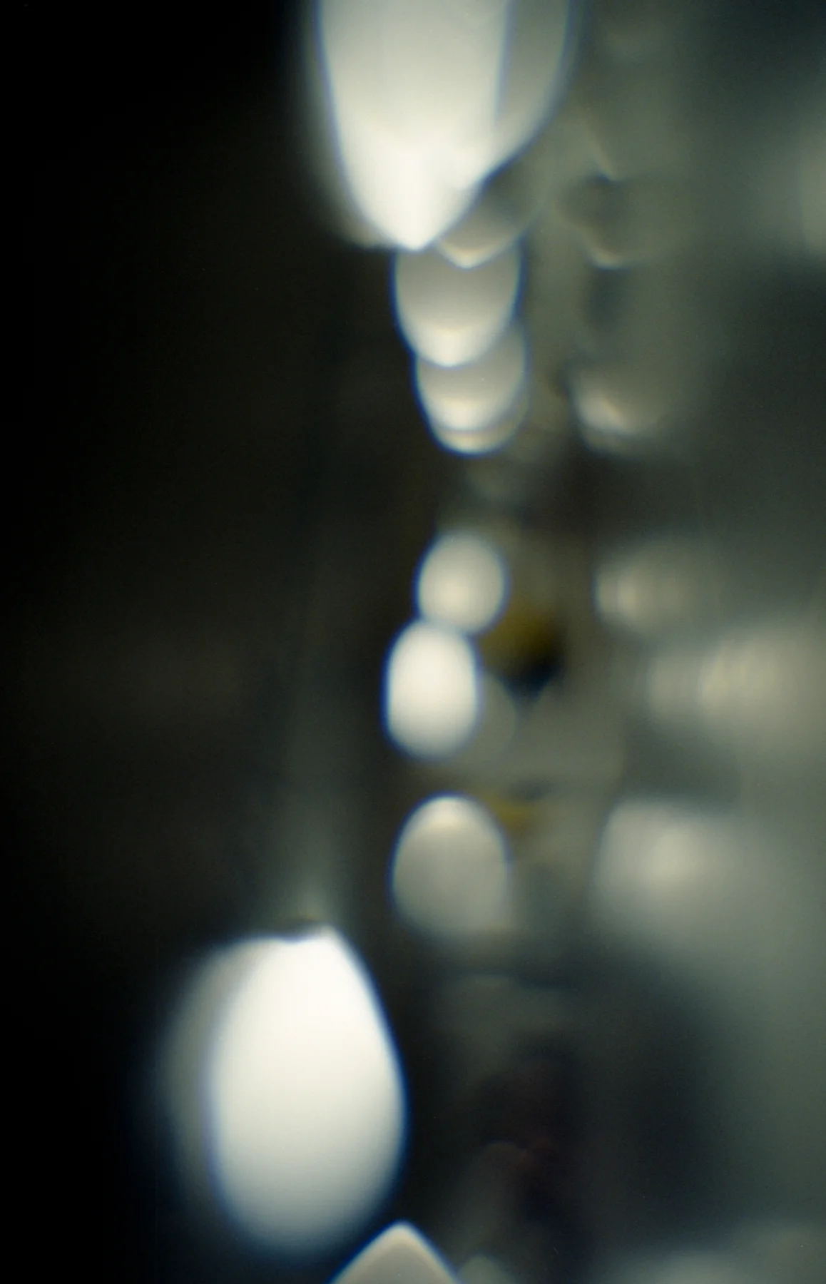 _600282_web.jpg