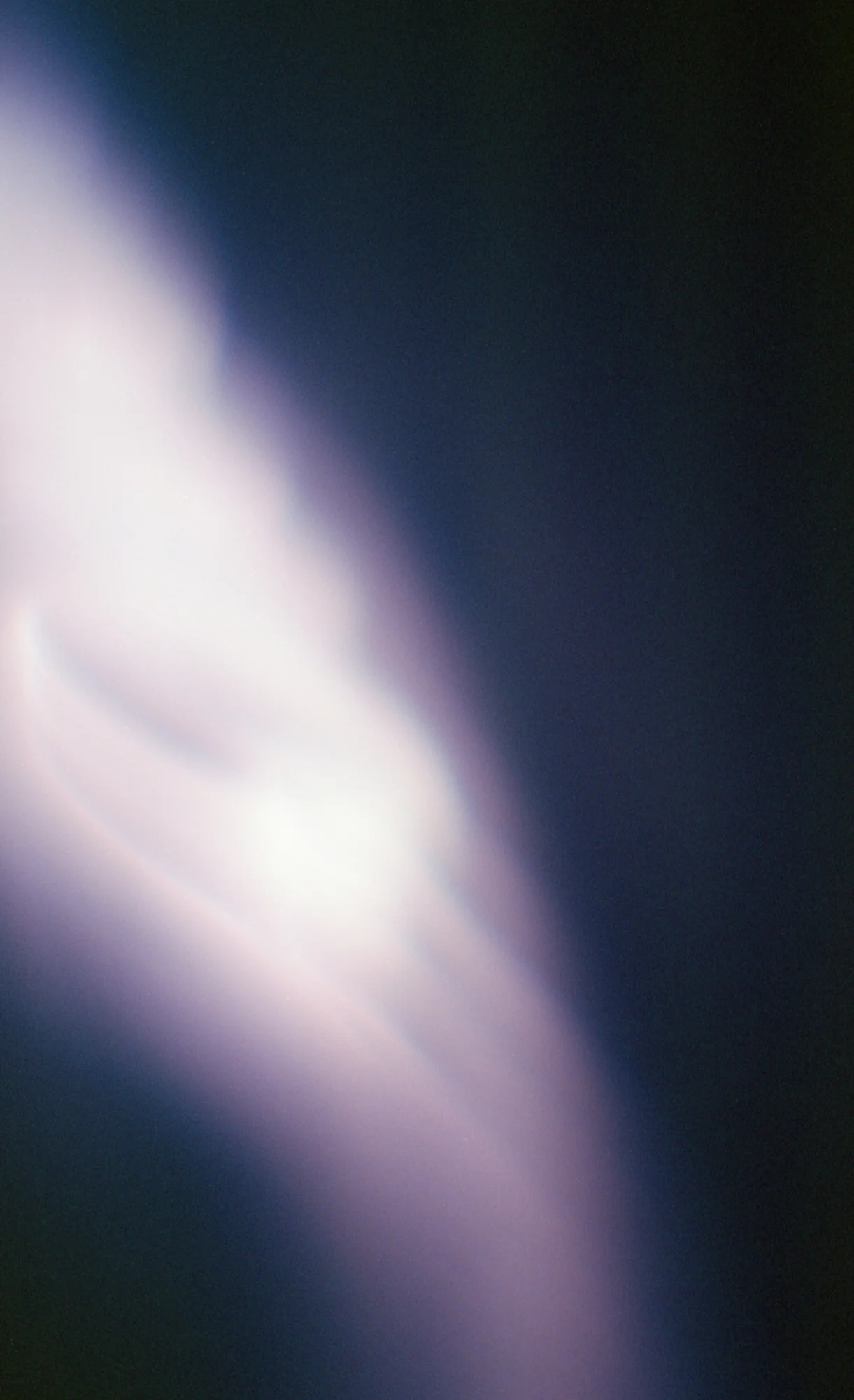 img558_web.jpg