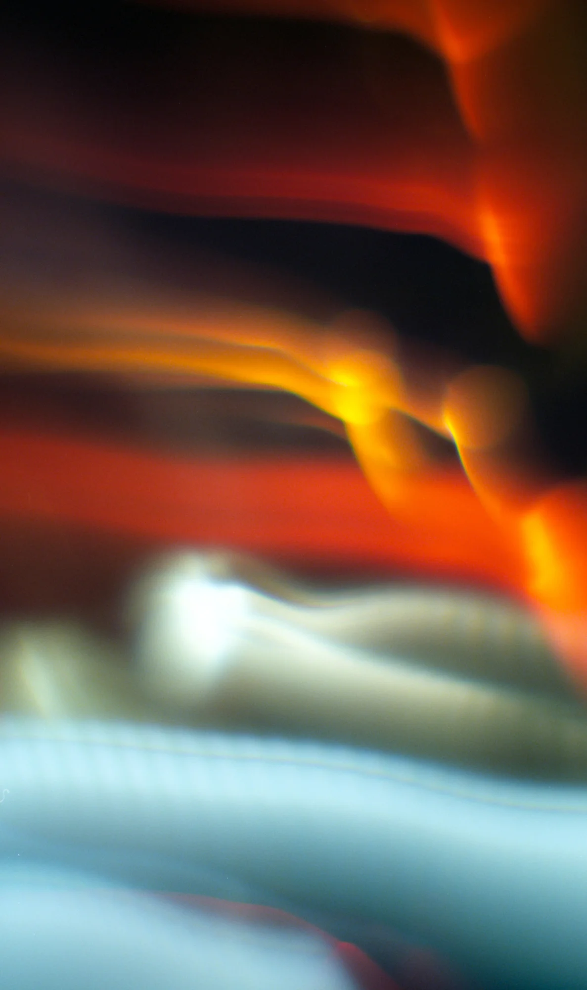 img550_web.jpg