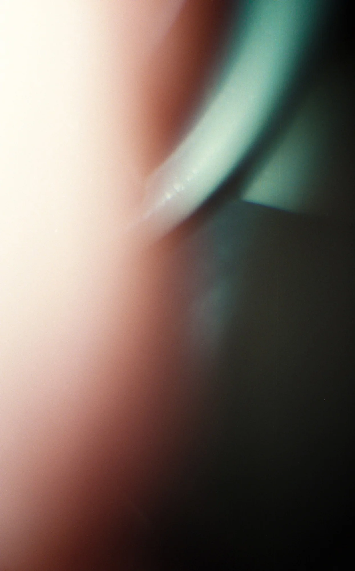 300733_web.jpg
