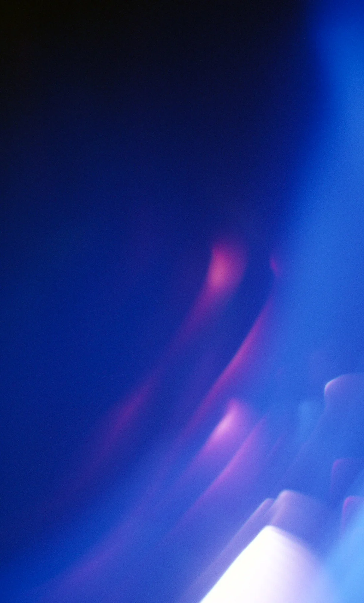 300245_web.jpg
