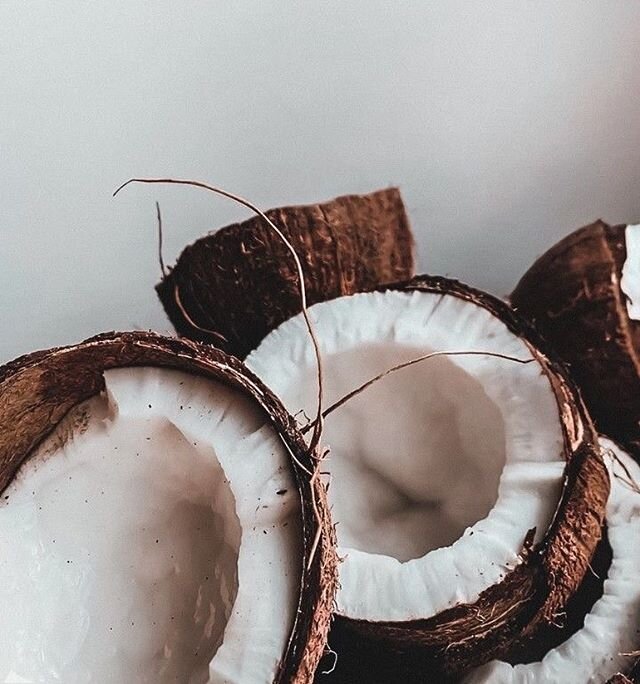 Life in the tropics is always fre$h 🥥🌴 #inspiration #mood #ANUK #anukofficial
