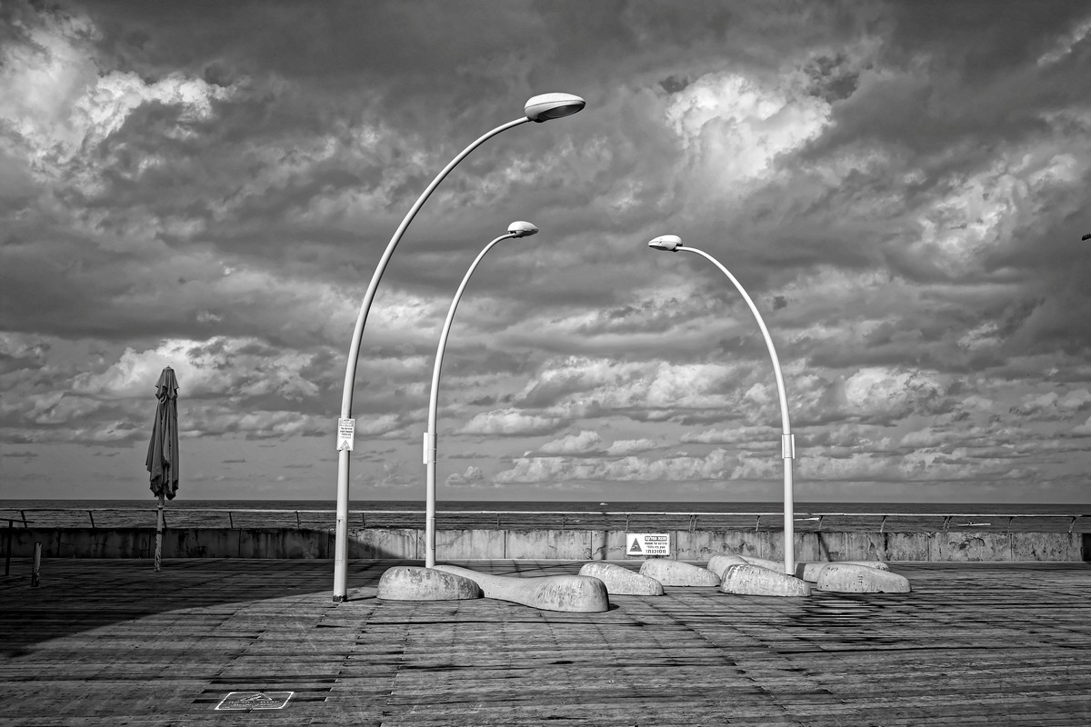 © Haim Blumenblat, Israel, 'Winter Conversation'. Winner of the 2nd Charles Dodgson Black & White Award