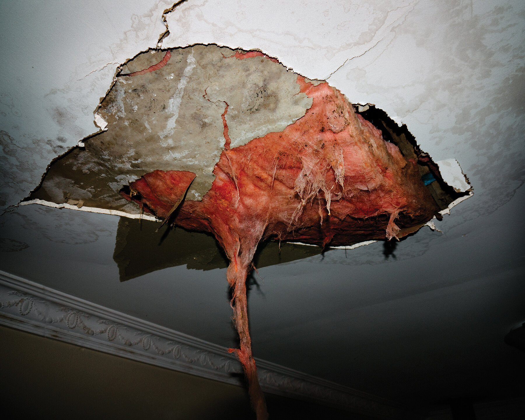 Claudia Caporn_8_NON-PRO_Documentary&Reportage_Series_HM.jpg