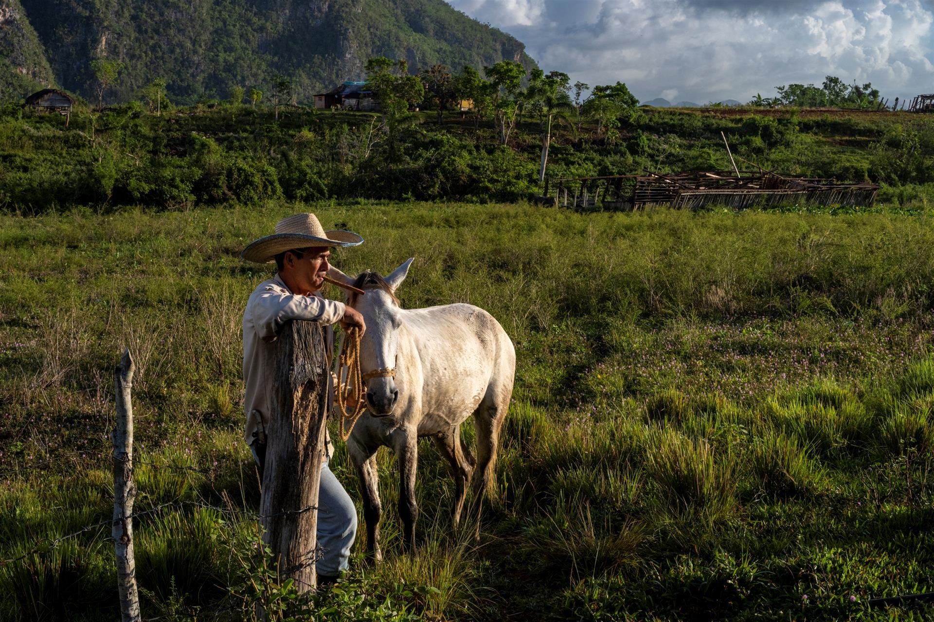 KimDa-Surveying-the-Fields-230528102940_1.jpg