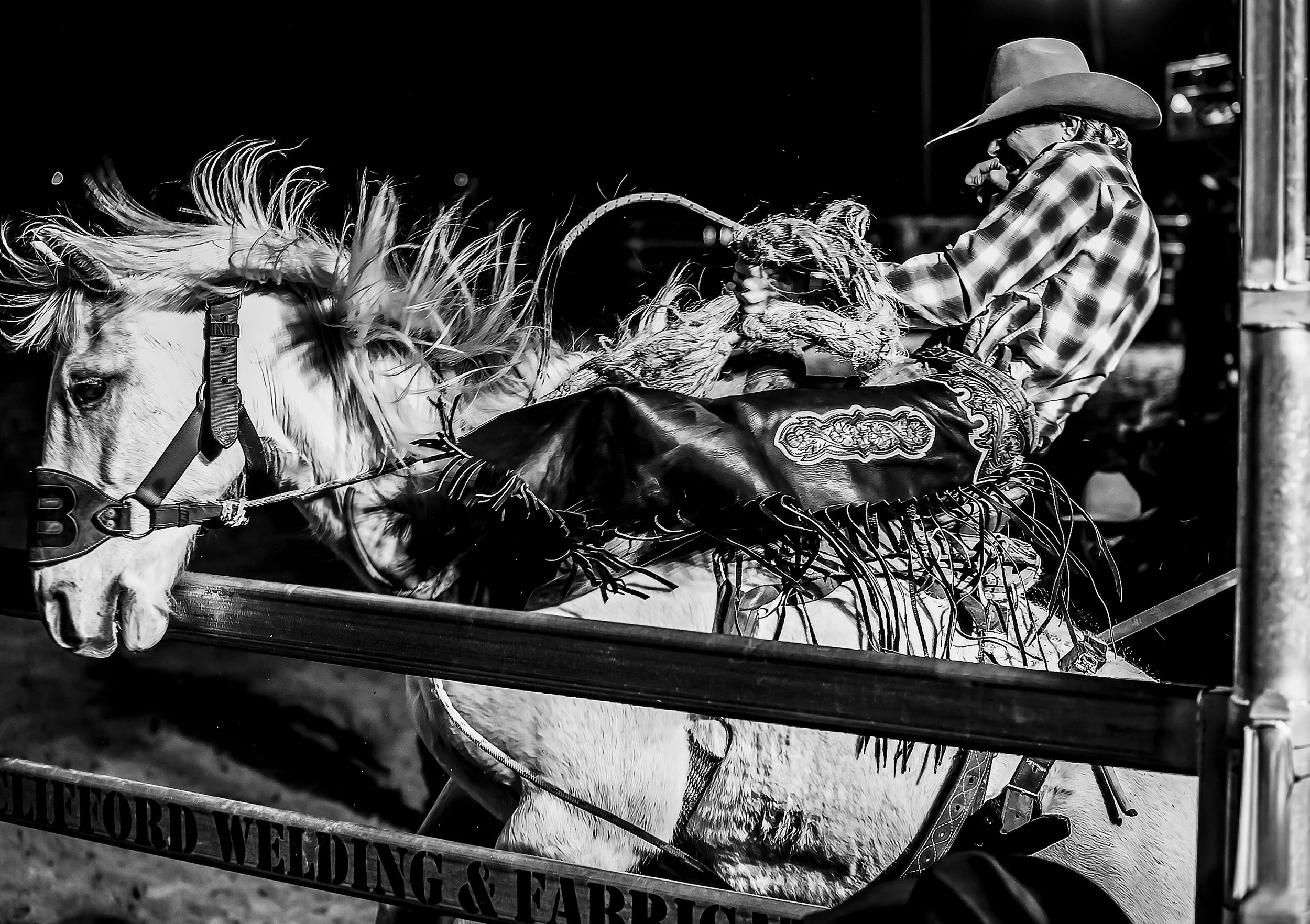 0D4A9208BW CROPPED.jpeg