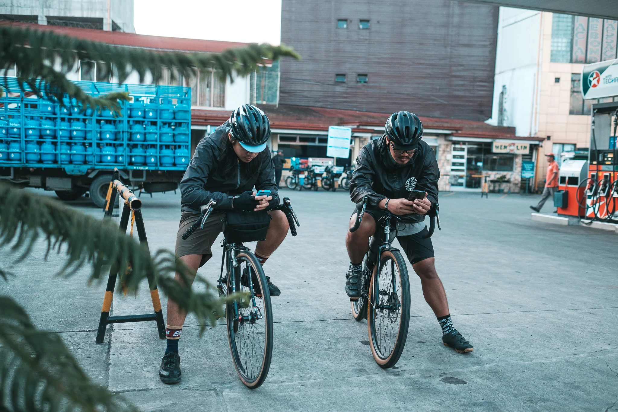 HALSEMA (15 of 50).JPG