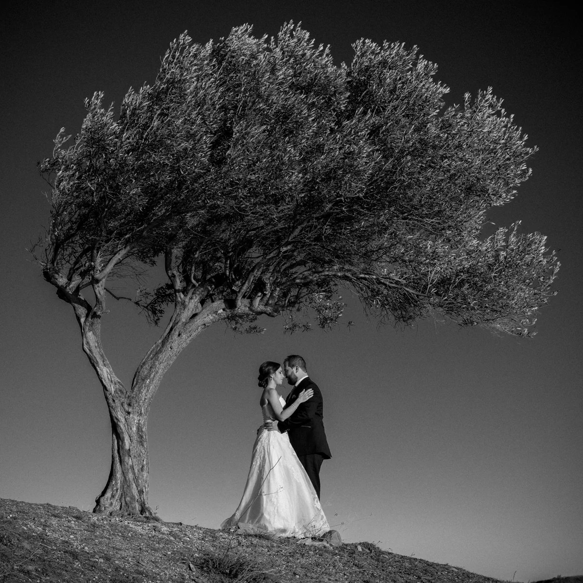DSCF1113-2.jpg